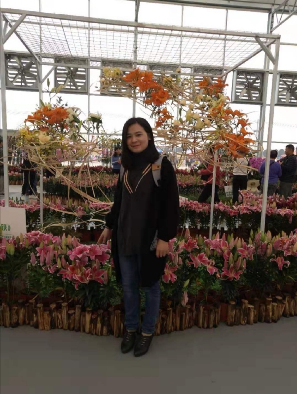 紫苏的第二张照片--珠海相亲服务中心