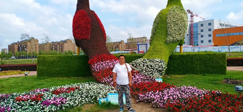 尘埃的第一张照片--珠海相亲服务中心