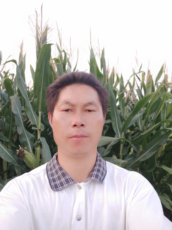 四海游龙的第一张照片--珠海相亲服务中心