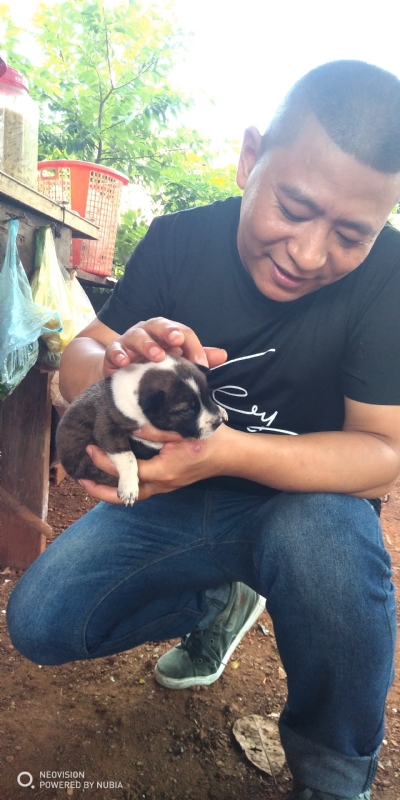 深圳相亲的第一张照片--珠海相亲服务中心