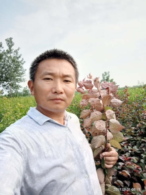 孩子爸的第二张照片--珠海相亲服务中心