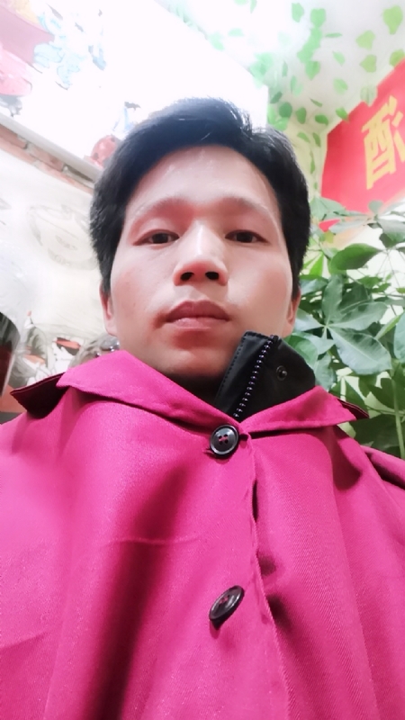 单身的林凡的第二张照片--珠海相亲服务中心