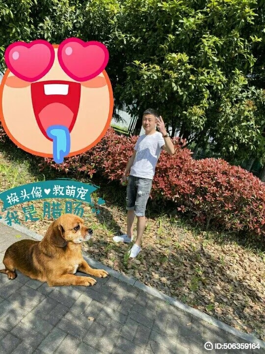 我若不坚强谁替我勇敢的第一张照片--珠海相亲服务中心