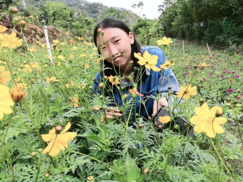 哈哈的第一张照片--珠海相亲服务中心