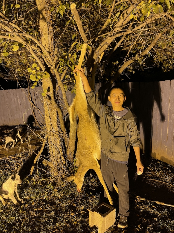 Kandy的第三张照片--珠海相亲服务中心