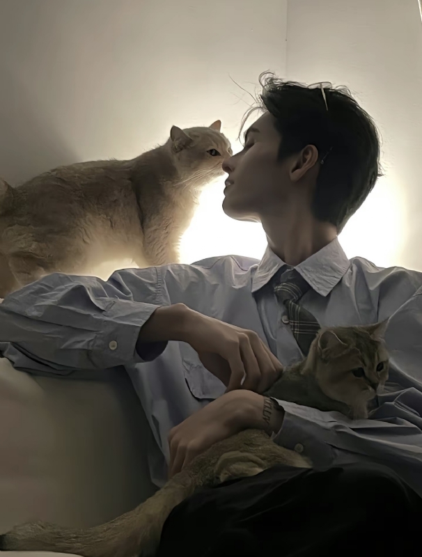 怪猫的第一张照片--珠海相亲服务中心