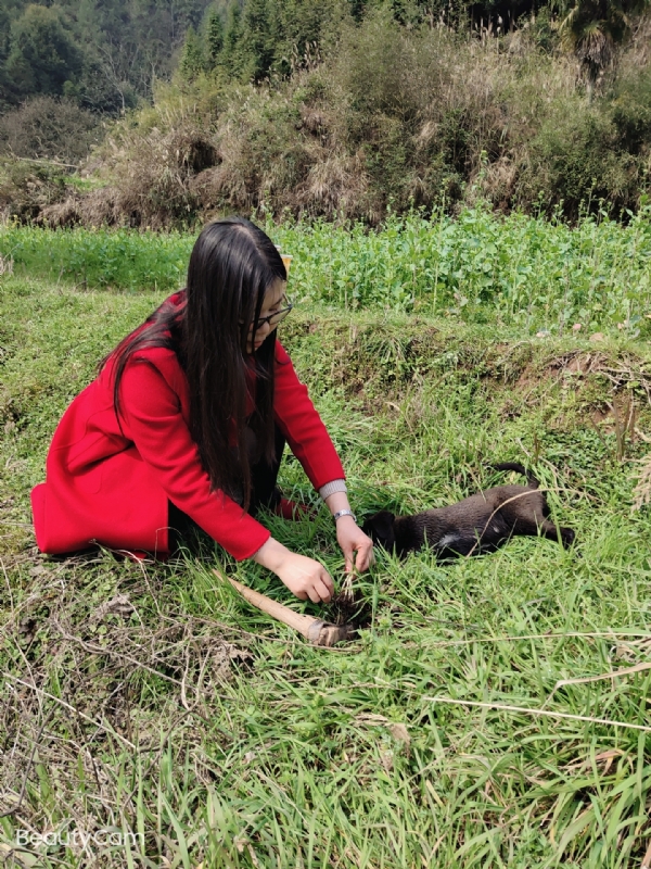 下一个春和秋的第一张照片--珠海相亲服务中心