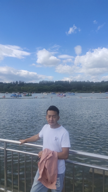 脱了壳的龟的第一张照片--珠海相亲服务中心