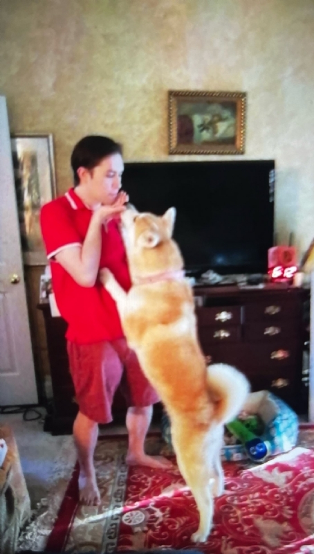 Leluch的第一张照片--珠海相亲服务中心