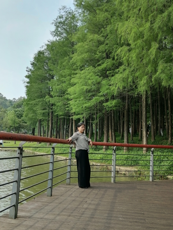 遗失的记忆的第二张照片--珠海相亲服务中心