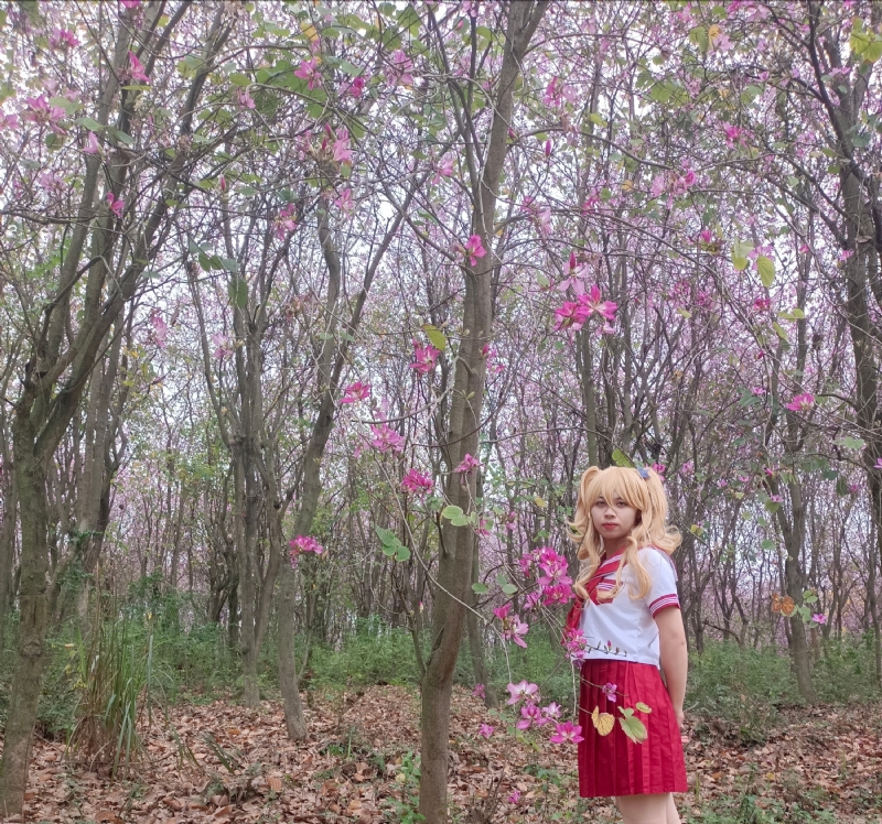 暮秋的第四张照片--珠海相亲服务中心