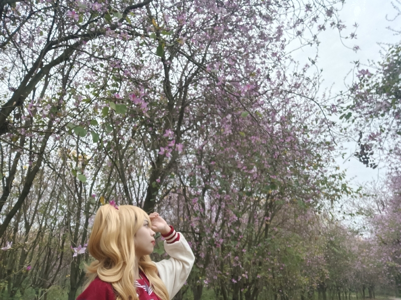 暮秋的第五张照片--珠海相亲服务中心